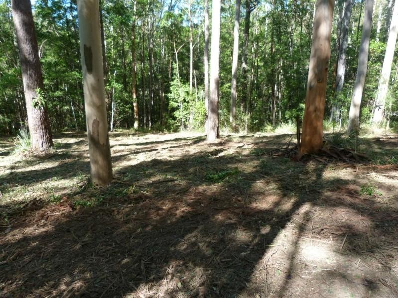 26 Little Springs Lane, Lake Macdonald QLD 4563