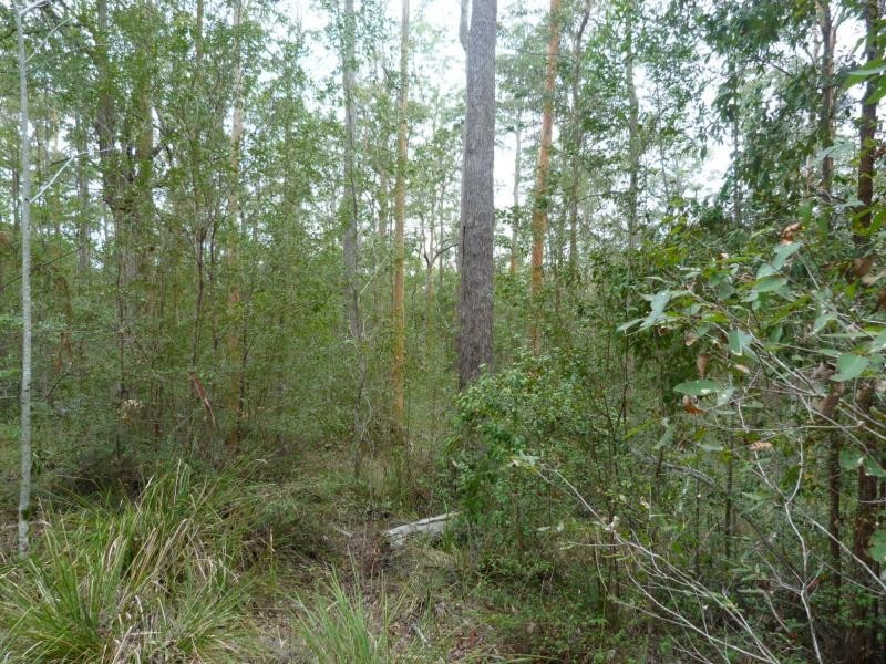 26 Little Springs Lane, Lake Macdonald QLD 4563