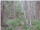 26 Little Springs Lane, Lake Macdonald QLD 4563