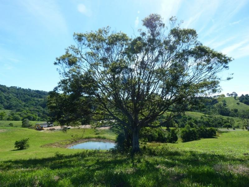 Cooroy QLD 4563