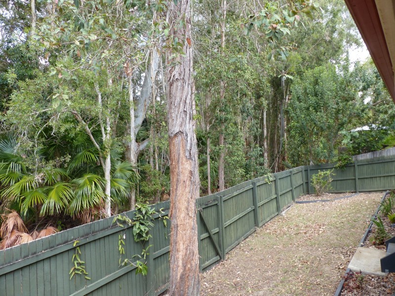 9 Park View Court, Tewantin QLD 4565