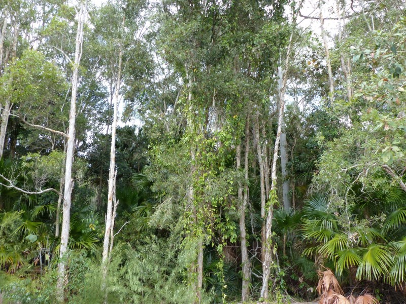 9 Park View Court, Tewantin QLD 4565