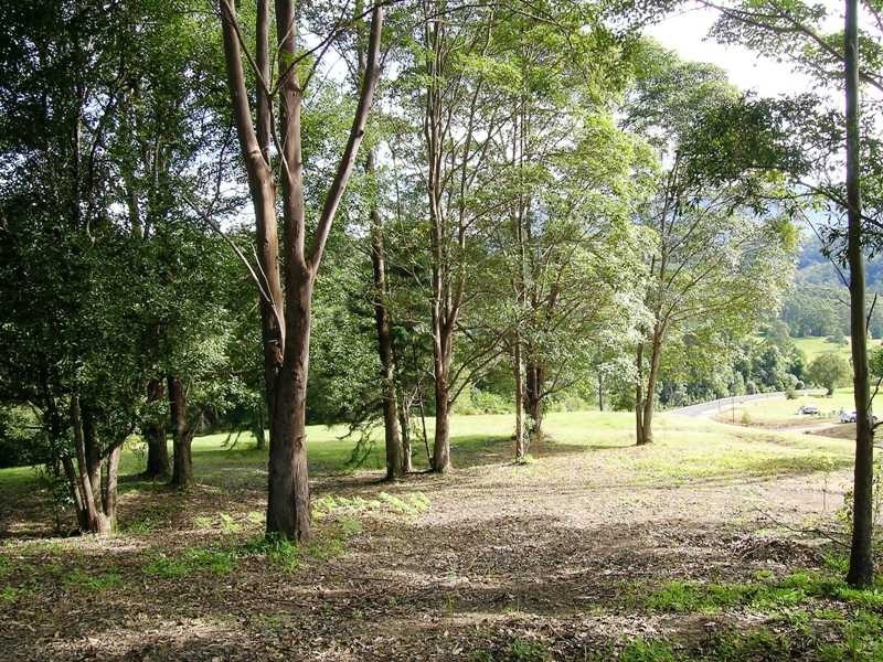 Lot 9 Mebbin Drive, Mebbin Springs, Kunghur NSW 2484