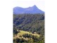 Kunghur NSW 2484