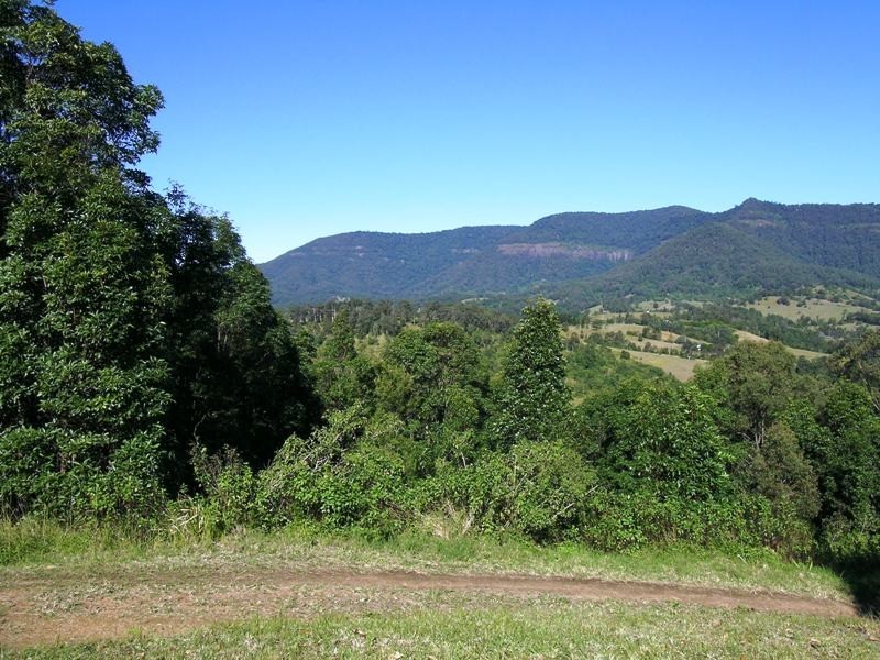 Kunghur NSW 2484