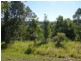 Kunghur NSW 2484