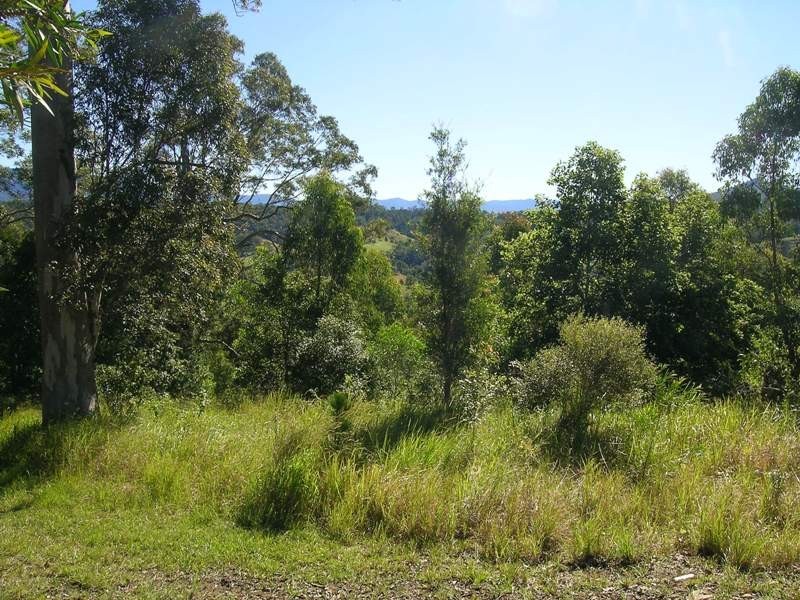 Kunghur NSW 2484