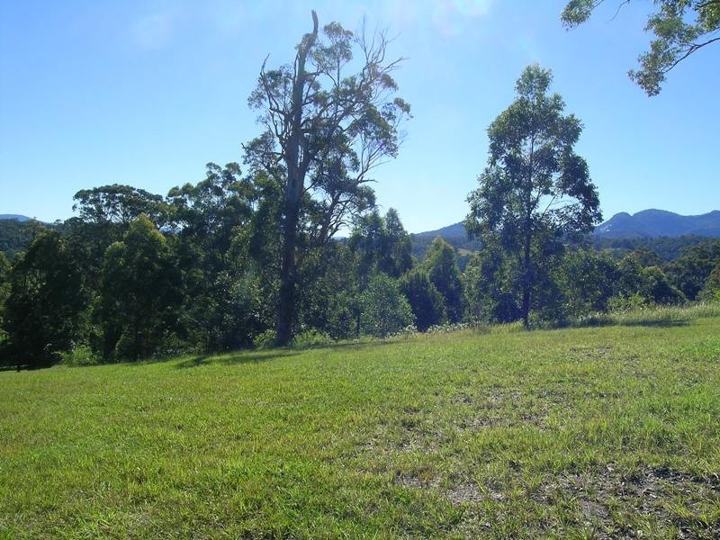 Kunghur NSW 2484