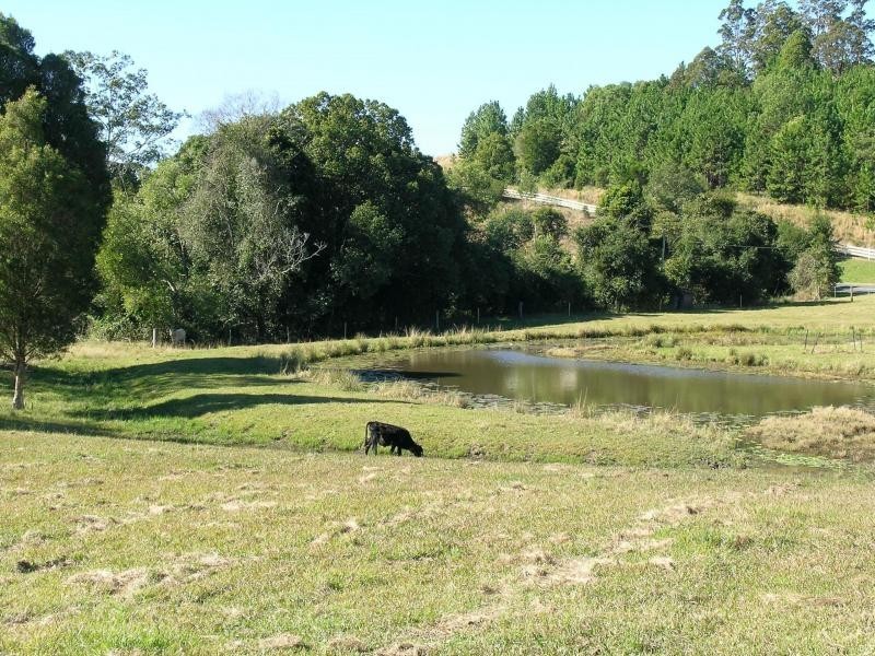 Kunghur NSW 2484