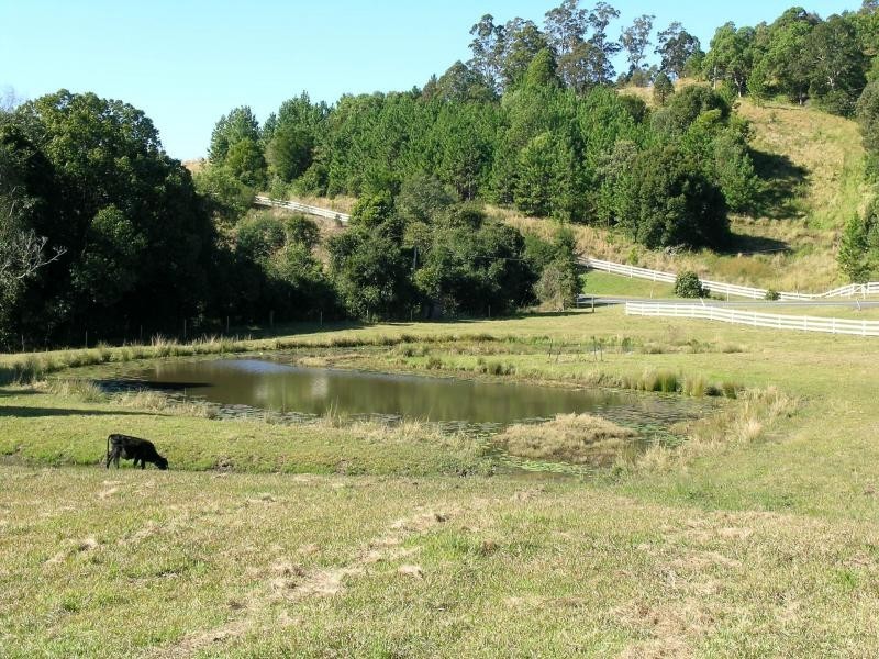 Kunghur NSW 2484