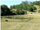 Kunghur NSW 2484