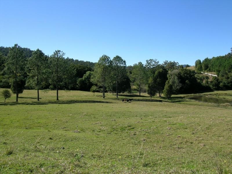 Kunghur NSW 2484