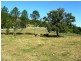 Kunghur NSW 2484