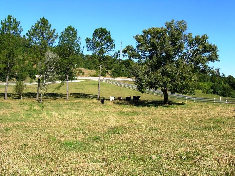 Kunghur NSW 2484