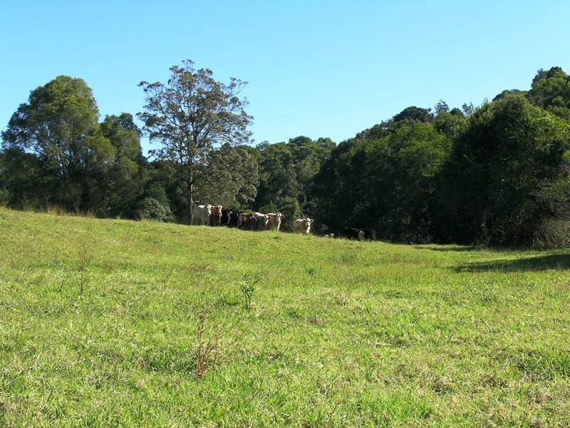 Kunghur NSW 2484