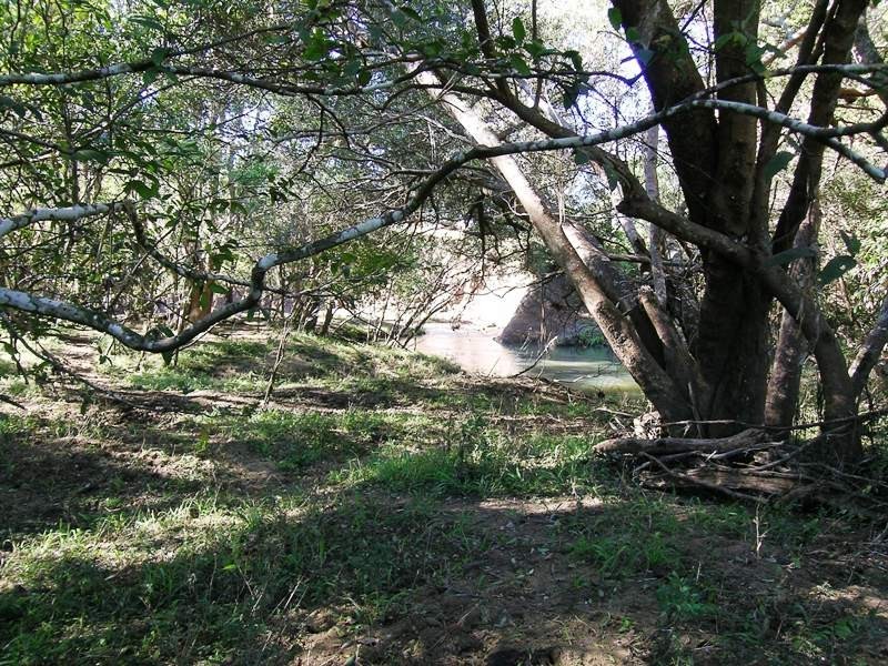 Kunghur NSW 2484