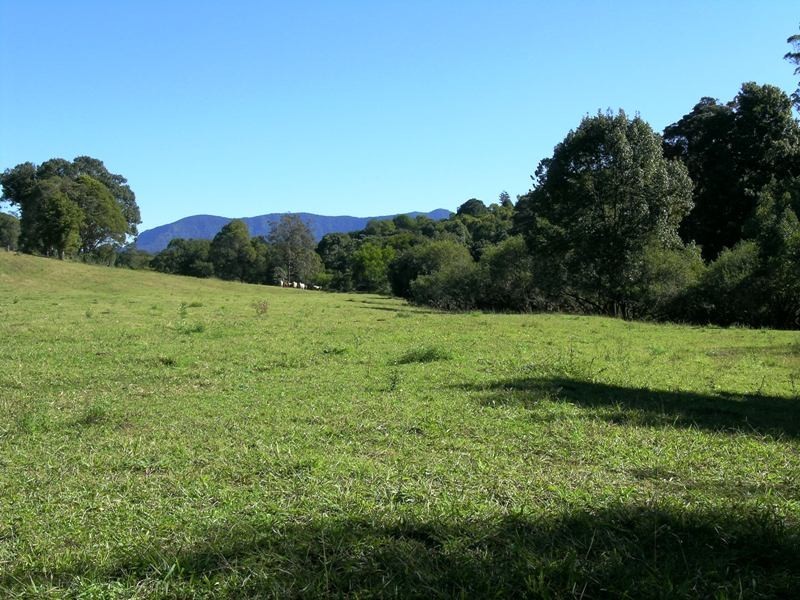 Kunghur NSW 2484