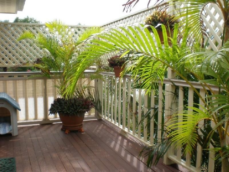 30 Palm View Drive, Moore Park Beach QLD 4670