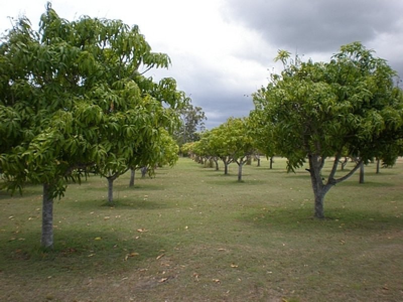 606 Booyan Road, Moore Park Beach QLD 4670