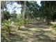 Lot 20 Egret Lane, Sylvan Palms, Moore Park Beach QLD 4670