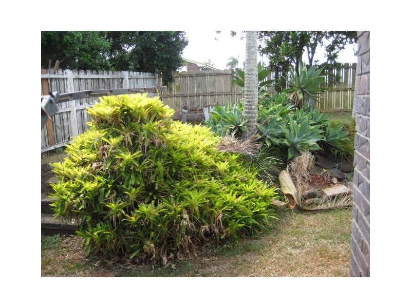 10 Sergiacomi Street, Gooburum, Bundaberg QLD 4670