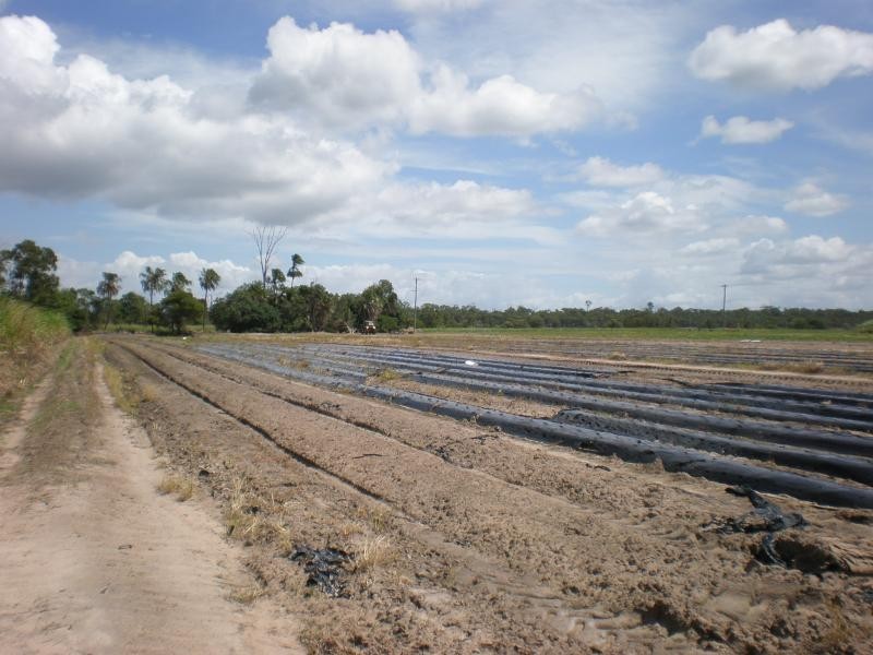 Lot 9 Moore Park Road, Moore Park Beach QLD 4670