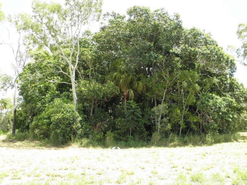 41 Regency Road, Majestic Palms Estate, Moore Park Beach QLD 4670