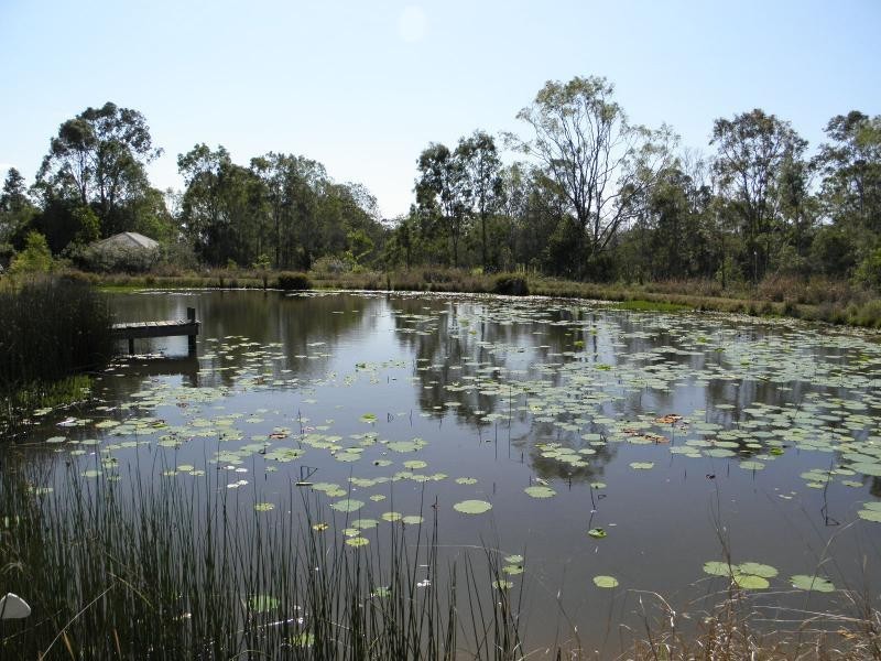 Moore Park Beach QLD 4670