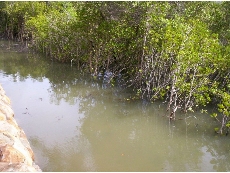 Lot 7 Kindt St, Moore Park Beach QLD 4670