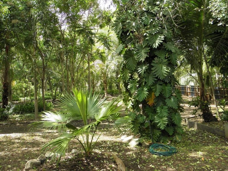 35 Plum Tree Crescent, Moore Park Beach QLD 4670