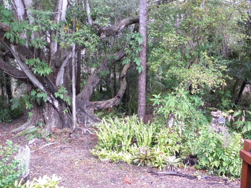 38 Lagoon Drive, Moore Park Beach QLD 4670