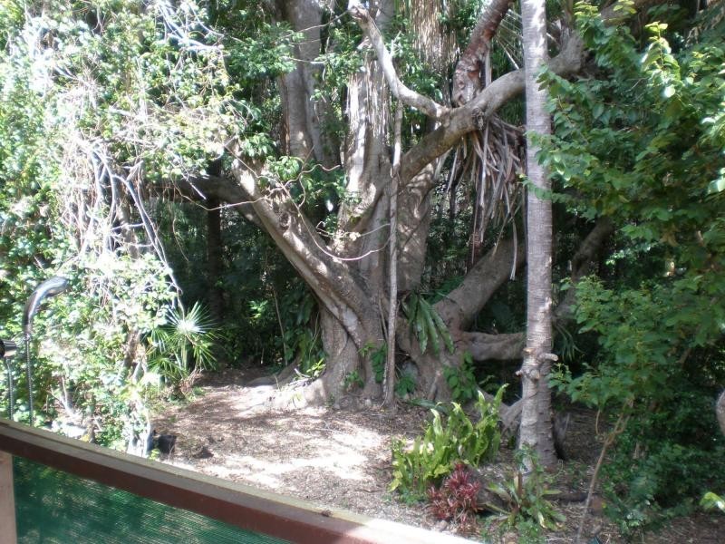 38 Lagoon Drive, Moore Park Beach QLD 4670