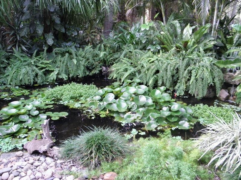 5 Woodlands Lane, Sylvan Palms, Moore Park Beach QLD 4670