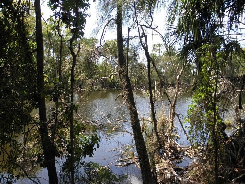 29 Woodlands Lane, Sylvan Palms, Moore Park Beach QLD 4670