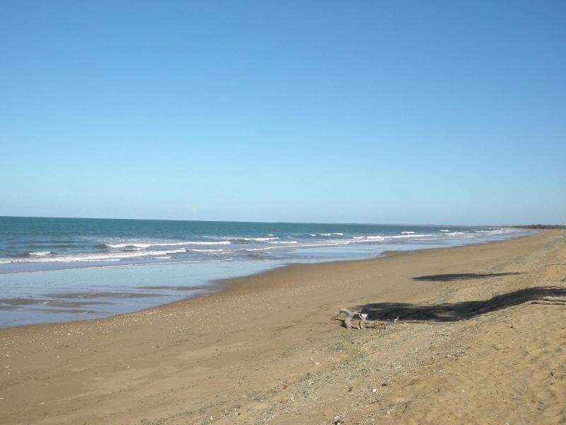 18 Malvern Drive, Majestic Palms Estate, Moore Park Beach QLD 4670