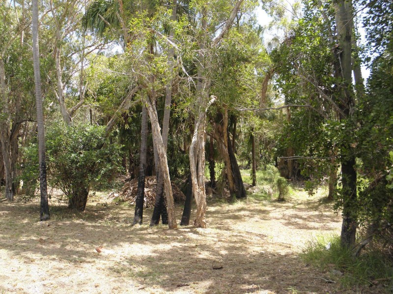 Moore Park Beach QLD 4670