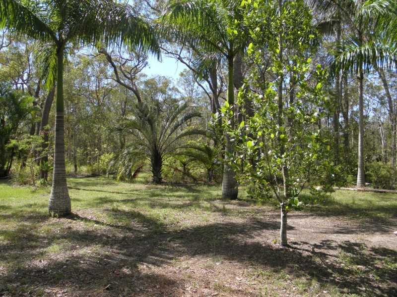 8 Hannah Court, Moore Park Beach QLD 4670