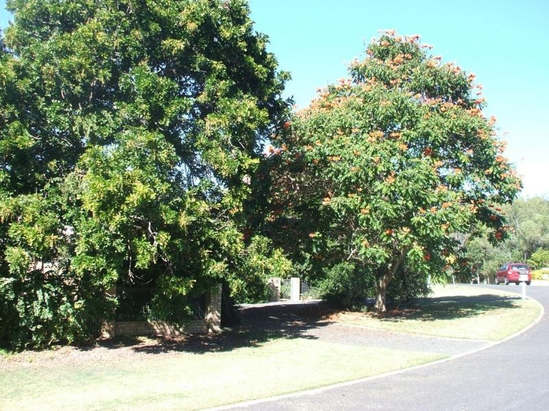 5 Bangalow Street, Moore Park Beach QLD 4670