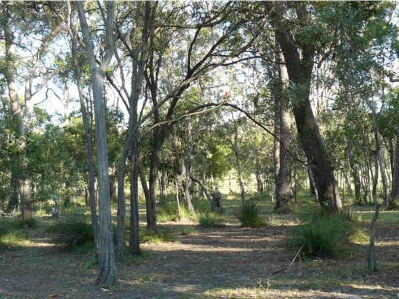 45 Tammy Road, Kingston Park, Moore Park Beach QLD 4670