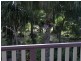 Moore Park Beach QLD 4670