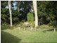 Moore Park Beach QLD 4670
