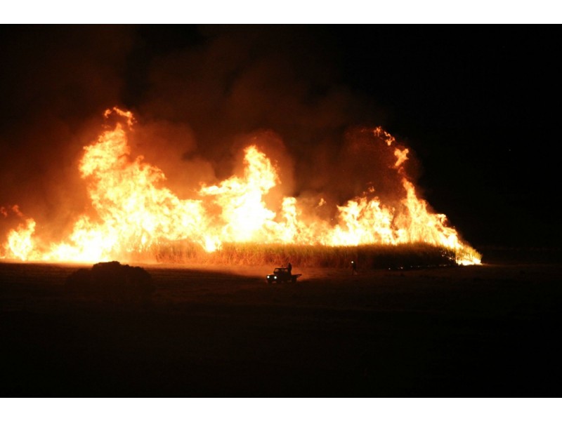 388 Booyan Road, Moore Park Beach QLD 4670