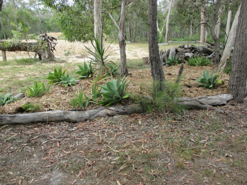 38 Tammy Road, Moore Park Beach QLD 4670