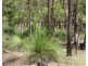 970 Moorlands Road, Moorland QLD 4670