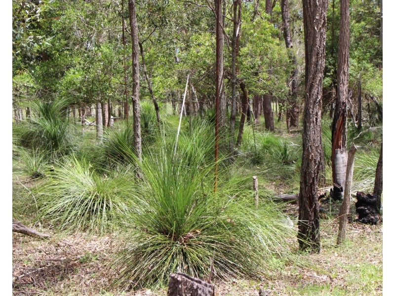 970 Moorlands Road, Moorland QLD 4670