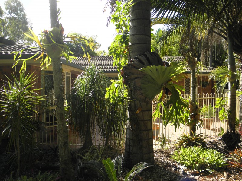 20 Woodlands Lane, Moore Park Beach QLD 4670