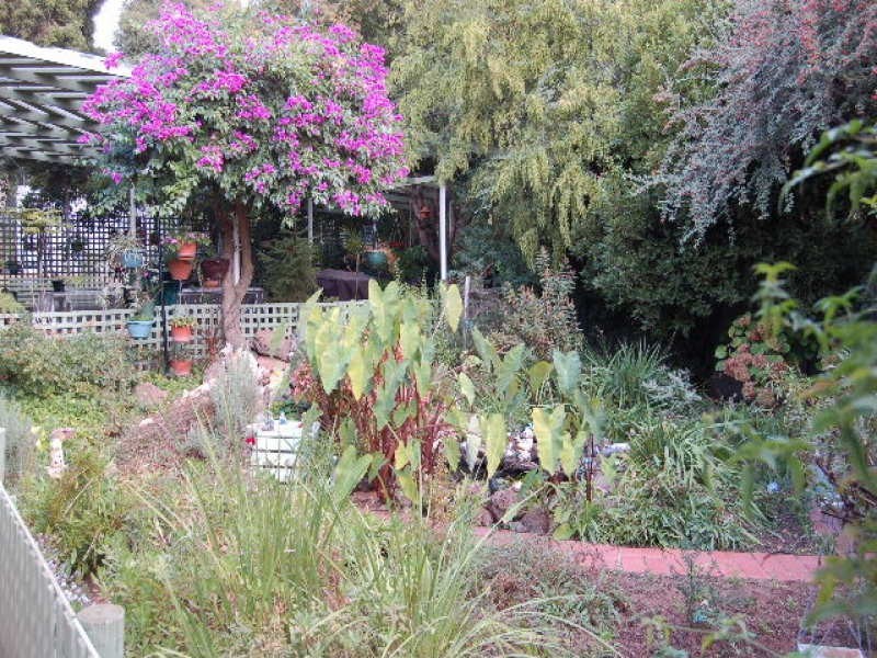 15 Hughes Street, Barooga NSW 3644