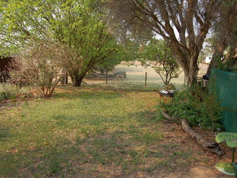 59 Nangunia Street, Barooga NSW 3644