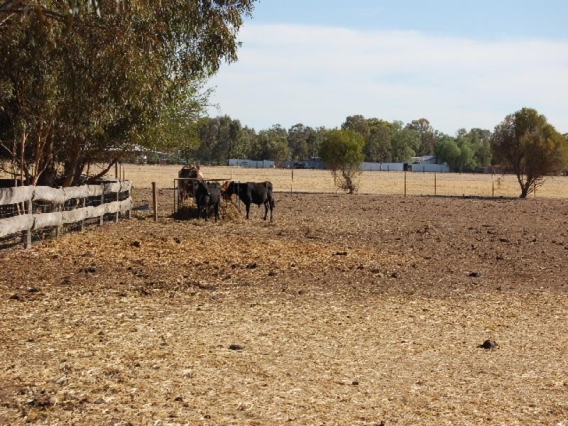 126 Katamatite/Nathalia Road, Katamatite VIC 3649