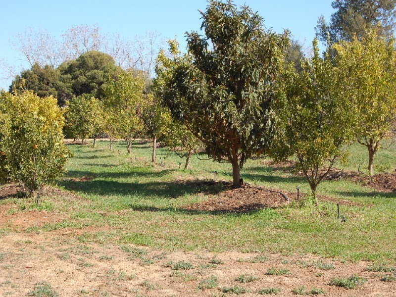 554 Healy Road, Cobram East VIC 3644